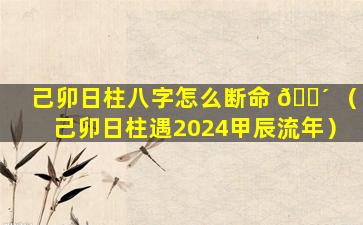 己卯日柱八字怎么断命 🌴 （己卯日柱遇2024甲辰流年）